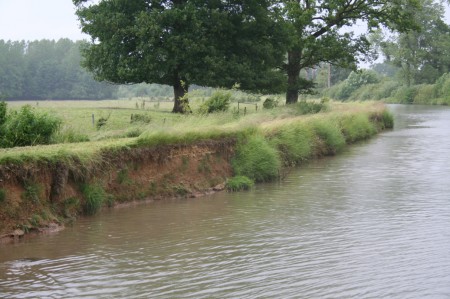 Berges du canal des ardennes