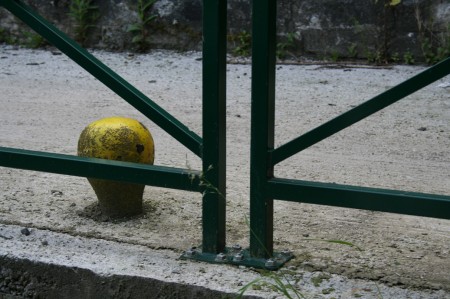 Bollard en cage