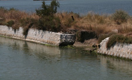 digue canal-étang camargue