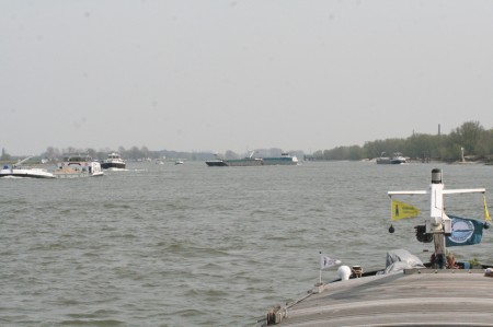 rhin