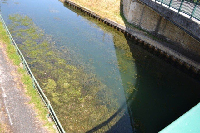 Joinville canal d'Heuilley